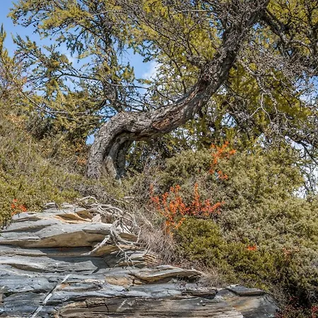 Visperblick 24-7 Parkplatz Und Fruehstueck Inkl